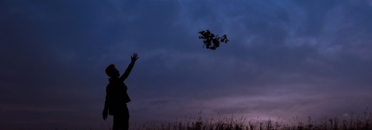 Person standing against twilight sky, letting a fan of leaves drift from their hand